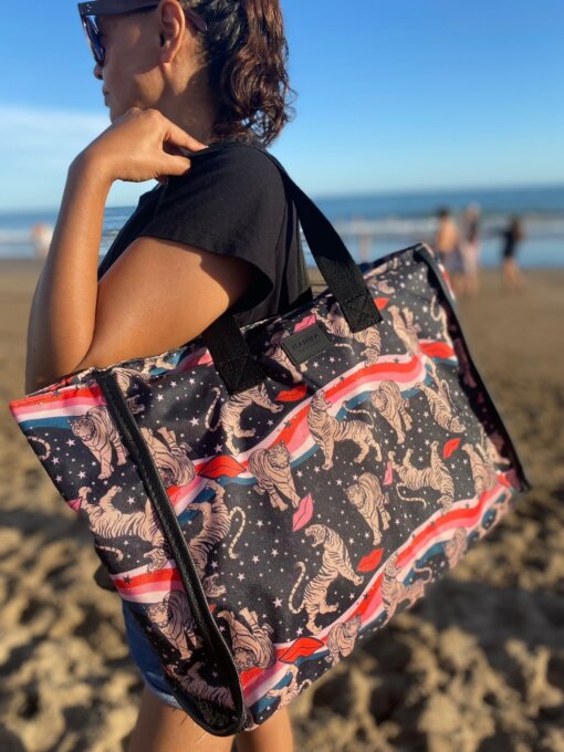 Alternative view of Bolso Brina